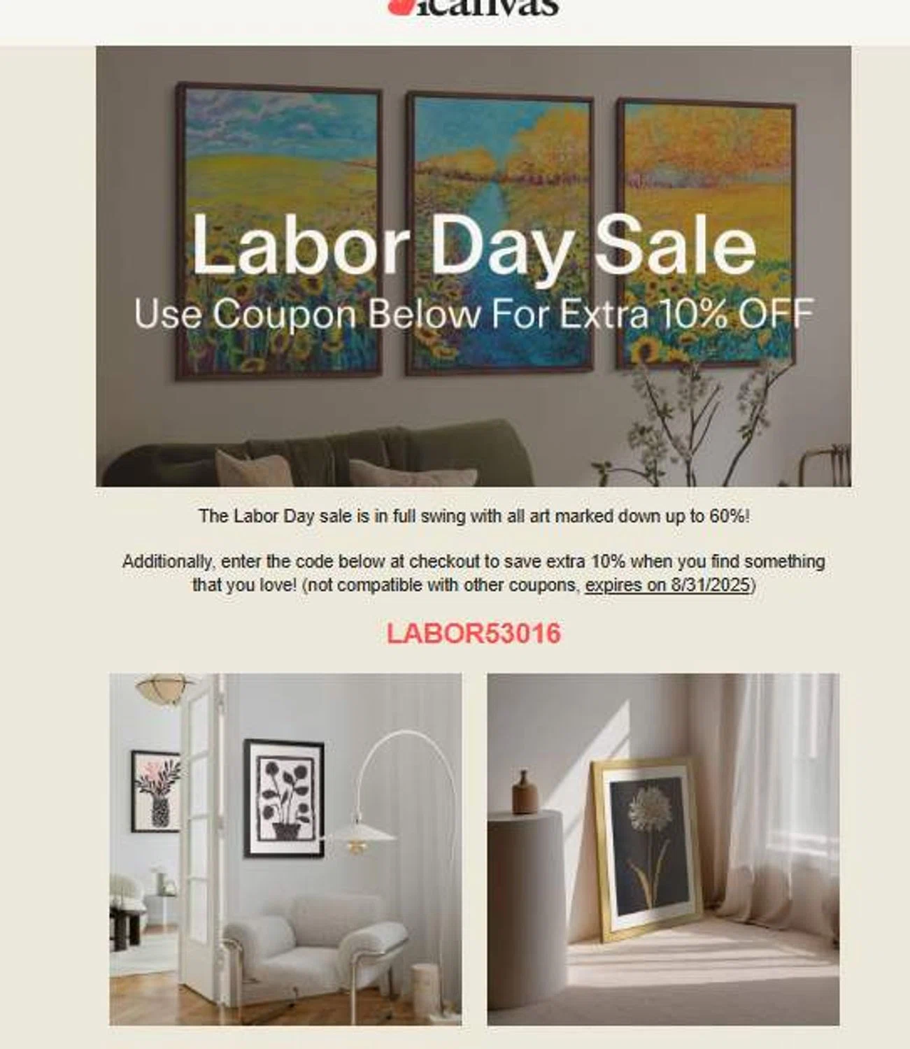 iCanvas promo code screenshot showing code LABOR53016 applied at iCanvas checkout page. Uploaded by SimplyCodes community member 6d796e616d656973 on Aug 29, 2025