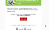 WINDOW coupon verification screenshot
