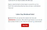 LABORDAY20 coupon verification screenshot
