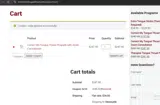 BR10 coupon verification screenshot