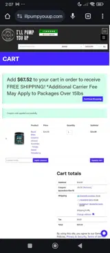 IPYUSUBSCRIBER10 coupon verification screenshot