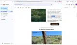 FISH2025 coupon verification screenshot