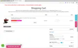 B2SCHOOL coupon verification screenshot