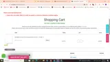 SURPRISE25 coupon verification screenshot