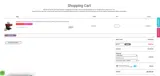 KV10 coupon verification screenshot