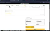 INVICTUS10 coupon verification screenshot
