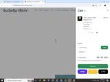 SPRING15 coupon verification screenshot