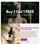 Island Essence coupon verification screenshot