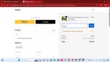 ITalkPet coupon verification screenshot