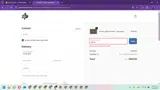 Jake's Mint Chew coupon verification screenshot