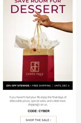 CYBER coupon verification screenshot