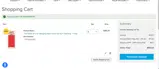 BLACKFRIDAY15 coupon verification screenshot