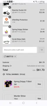Britt15 coupon verification screenshot
