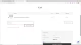 10PECA coupon verification screenshot