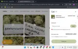 J Litty coupon verification screenshot