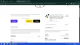 BLOWOUT25 coupon verification screenshot