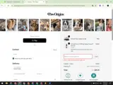 DIEGO10 coupon verification screenshot