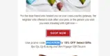 VACATION coupon verification screenshot