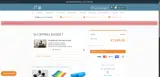 SPRING5FIT coupon verification screenshot