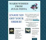 SNOWDAY25 coupon verification screenshot