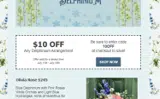 10off coupon verification screenshot