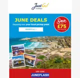 JUNEFLASH coupon verification screenshot