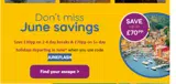 JUNEFLASH coupon verification screenshot