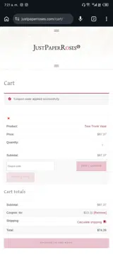TTV coupon verification screenshot