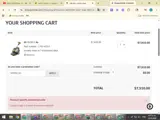 SPRING30 coupon verification screenshot