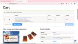 CAT11 coupon verification screenshot