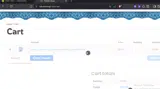 Spring15 coupon verification screenshot