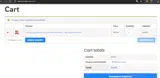 DOWNLOADS50 coupon verification screenshot
