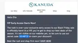 2024BF20 coupon verification screenshot
