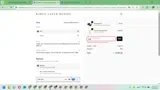 SAVE coupon verification screenshot