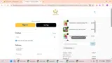 Karina Lily coupon verification screenshot