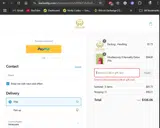 Karina Lily coupon verification screenshot