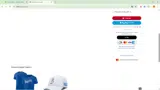 CAPITALONE coupon verification screenshot