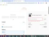 BRITT617 coupon verification screenshot