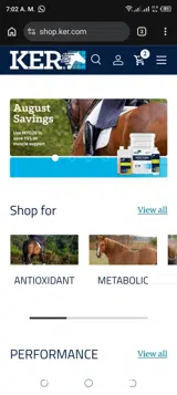 KER Store coupon verification screenshot