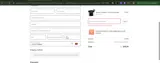TINA coupon verification screenshot