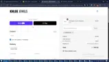 SPRING2025 coupon verification screenshot