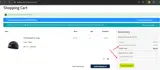BLACKFRIDAY coupon verification screenshot