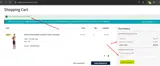 SWIM25 coupon verification screenshot