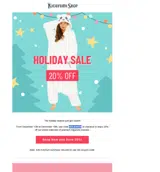 HOLIDAY20 coupon verification screenshot