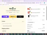 SARAYMORGAN coupon verification screenshot