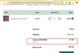 WM450925 coupon verification screenshot