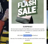 SPRINGSALE20 coupon verification screenshot