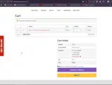 BIWI10 coupon verification screenshot