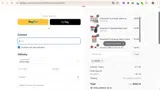 SAVE20 coupon verification screenshot