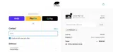 SPRING20 coupon verification screenshot